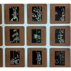 1980s Saul Steinberg Figures 48 Pcs 35mm Slides Satirical Art Surrealism E50N
